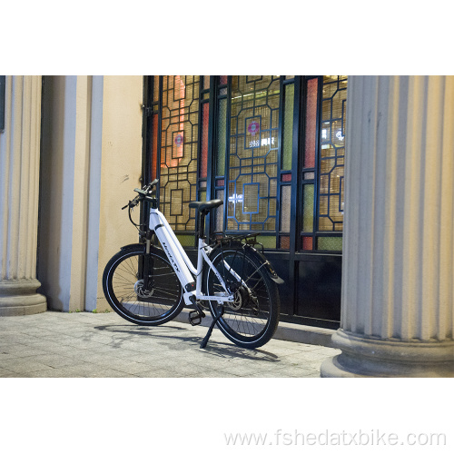 Customized 350w 500w Ebike Cycling Bicycle